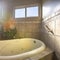 Square Close up of shiny bathtub and ornamental plant inside a bathroom with tiled wall