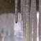 Square Close up view of smooth and shiny icicles under a bridge in winter