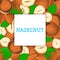 The square colored frame composed of hazelnut. Vector card illustration. Nuts , walnut fruit in the shell, whole