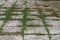 Square concrete grass pattern background texture