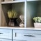 Square crop Close up of cabinet with ornamental plants and hourglass on the display shelves