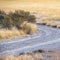 Square crop Curved dirt track with tyre tracks day light