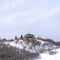 Square crop Hill with homes and leafless bushes on its gentle slope with snow in winter