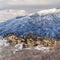 Square crop Wasatch Mountain homes that takes in the unspoiled snowy nature views in winter