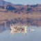 Square Crystallised salt formation Bonneville Salt Flats day light