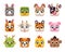 Square cute chinese animals. Cute horoscope muzzles, cartoon UI icons, wildlife and domestic characters avatars, app