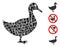 Square Duck Icon Vector Collage