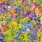 Square floral background from spring and summer flowers and plants isolated collage