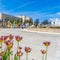 Square Flowers and fountain outside a building against snowy mountain and blue sky