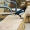 Square frame Bird perched on a raised stone plant bed outside a building