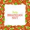 Square frame composed of delicious brazilnut nut. Vector card illustration. Nuts , brazilian fruit in the shell, whole