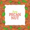 Square frame composed of delicious pecan nut. Vector card illustration. Nuts , walnut fruit in the shell, whole, shelled