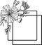 Square frame daisy flowers vector Black and white drawing