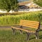 Square frame Empty outdoor park bench casting shadow on the grassy terrain on a sunny day