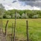 Square frame Grassy field and lush trees behind wire fence and wood posts lining a road