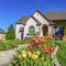 Square frame Landscaped yard of a home with pathway stairs tulips trees and grasses
