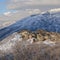 Square frame Large houses on top of a snowy hill with Mount Timpanogos view at Draper, Utah