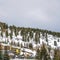 Square frame Mountain with colorful homes and coniferous trees on its snow covered slope