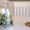 Square frame Ornamental glass jar with plants and candle on the dining table of home