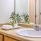 Square frame Vanity area of bathroom with close up view of towels and plants beside the sink