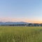 Square frame Vast terrain with green grasses against houses mountain and blue sky at sunset