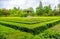 Square hedge maze garden