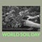 Square image of world soil day and hands of caucasian man holding seedling in black and white