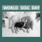Square image of world soil day and hands of caucasian woman holding seedling in black and white