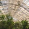 Square Interior of a greenhouse with lush green plants under the roof with glass panels