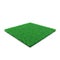 Square of Kentucky Bluegrass Grass field over white. 3D illustration