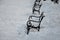 Square with metal benches in a row. The square is covered with snow and you can see the piles that the tractor pushed aside. The b