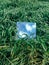 Square mirror in wheat ears with reflected blue sky and white clouds