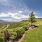 Square Panorama of the backyard of home with landscaped grassy lawn and lush plants