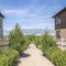 Square Paved pathway in the middle of plants wooden fence and houses