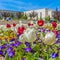 Square Radiant array of flowers with view of a building and fountain against blue sky