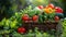 a square rattan bucket brimming with an array of colorful vegetables nestled amidst lush green grass.