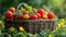 a square rattan bucket brimming with an array of colorful vegetables nestled amidst lush green grass.