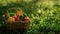 a square rattan bucket brimming with an array of colorful vegetables nestled amidst lush green grass.