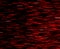 Square red vivid 8-bit pixel teleport blast