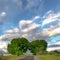 Square Road and lush trees on a vast field with homes and mountain in the background