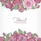 Square romantic floral backdrop decorated with gorgeous pink Austin or cabbage rose flowers hand drawn on white