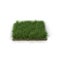 Square of Ryegrass Grass field over white. 3D illustration