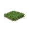 Square of Ryegrass Grass field over white. 3D illustration