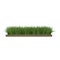 Square of Ryegrass Grass field over white. Side view. 3D illustration