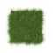 Square of Ryegrass Grass field over white. Top view. 3D illustration