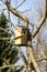 A square shaped birdhouse standing on a branch of a leafless tree in a garden on a sunny day. The bird hole of the nest box is