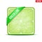 Square slice of lime Green Line. Vector