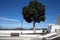 Square with a tree, Yaiza, Lanzarote, Spain