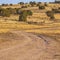 Square Unpaved trail winding through a vast grassy terrain viewed on a sunny day