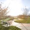 Square Vast park with pathways and trees on the grassy ground under the blazing sun